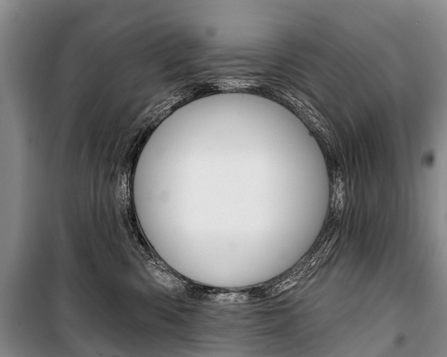 X0000101210426200806270858