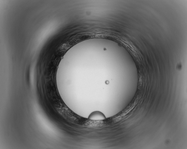 X0000101210429200806270858