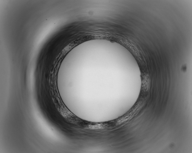 X0000101210430200806270858