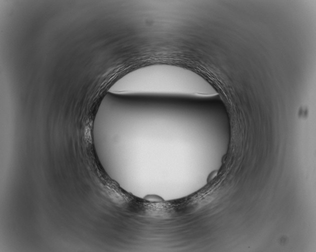 X0000101210432200806270858