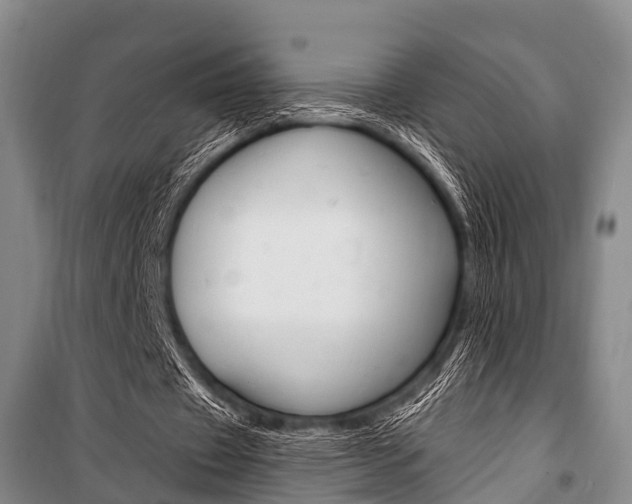 X0000101210433200806270857