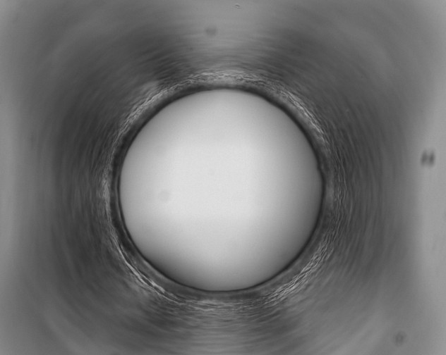 X0000101210434200806270857