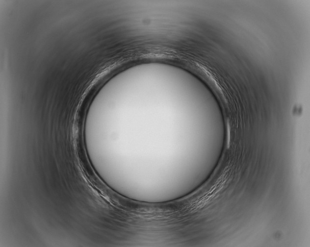 X0000101210435200806270857