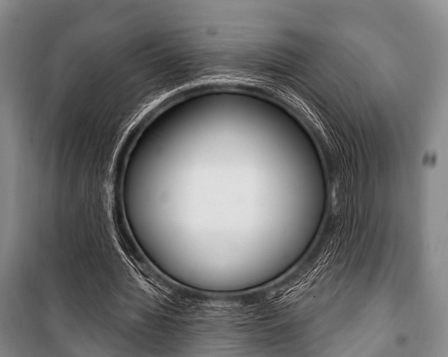 X0000101210436200806270857