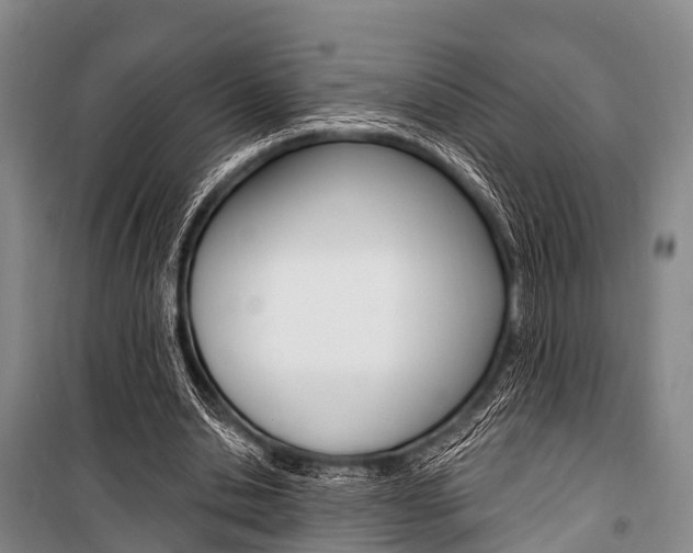 X0000101210438200806270857
