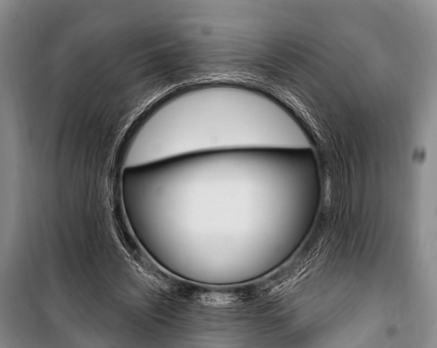 X0000101210444200806270857