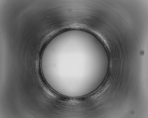 X0000101210445200806270857