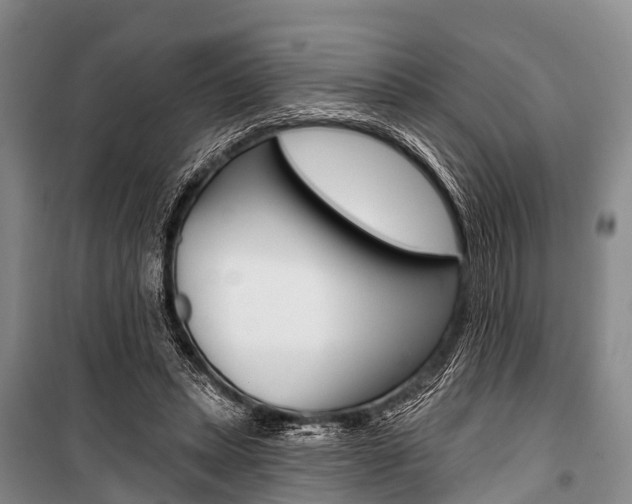X0000101210447200806270858