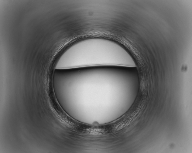 X0000101210448200806270858