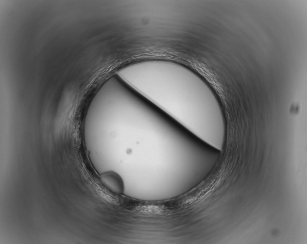 X0000101210449200806270858