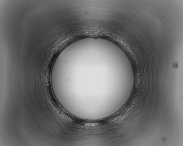 X0000101210450200806270858