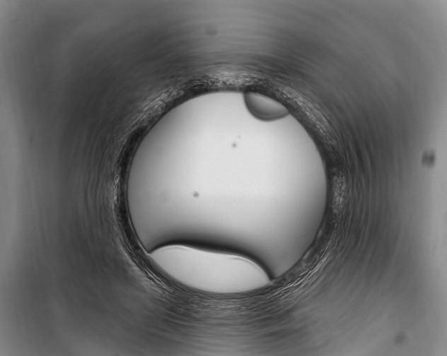 X0000101210451200806270858