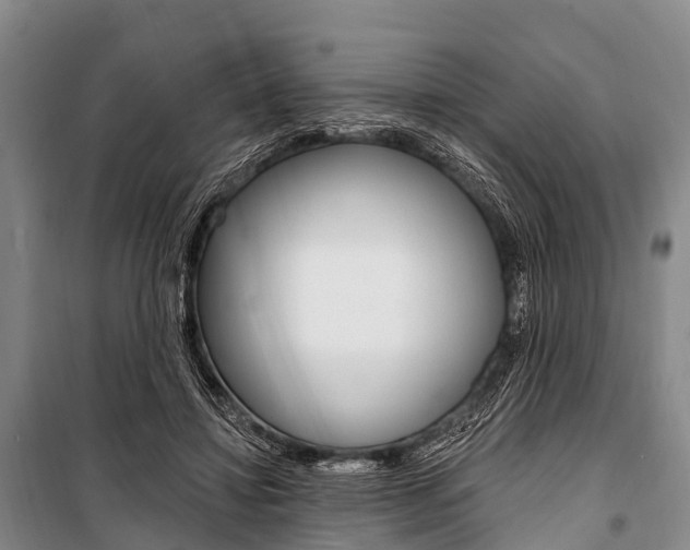X0000101210452200806270858
