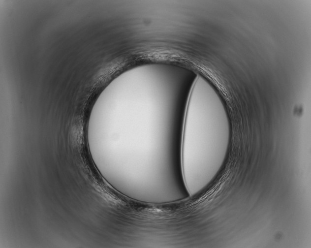 X0000101210453200806270858