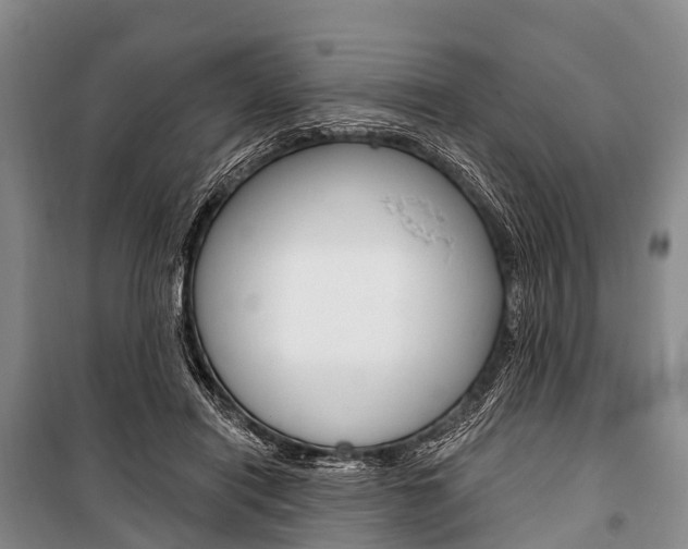 X0000101210454200806270858