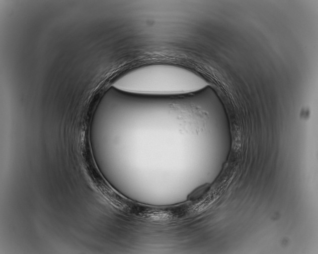 X0000101210456200806270858