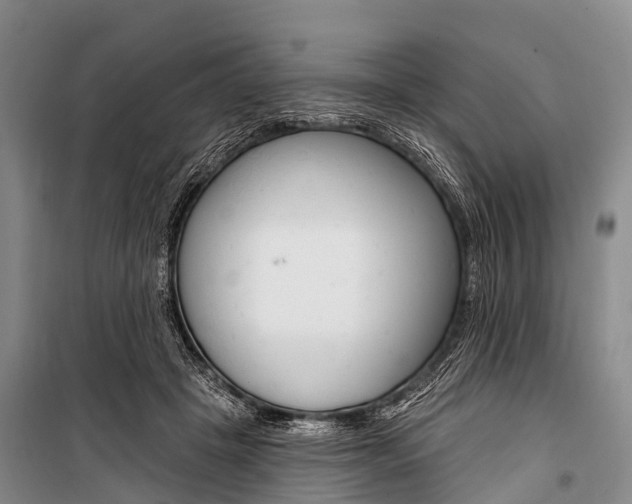 X0000101210457200806270858