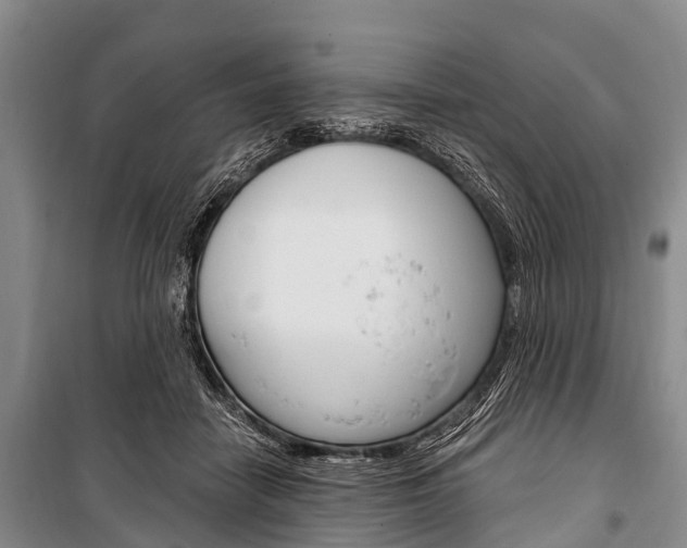 X0000101210458200806270858
