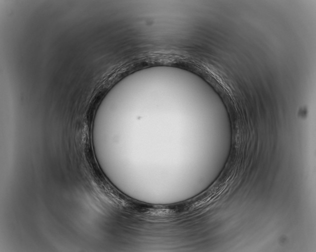 X0000101210459200806270858