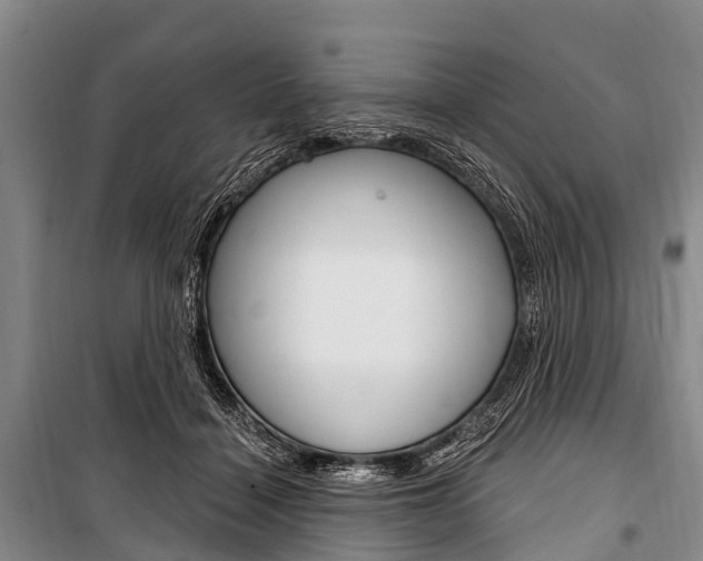 X0000101210460200806270858