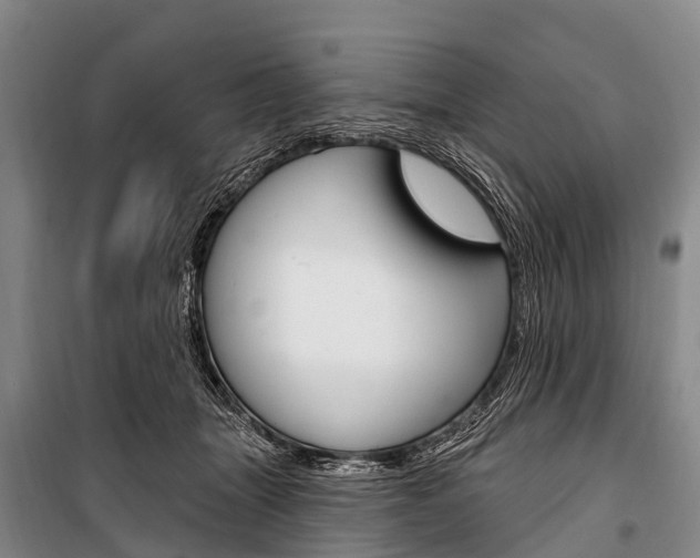 X0000101210463200806270858