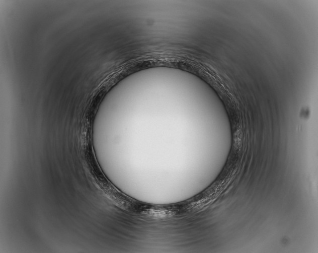 X0000101210464200806270858