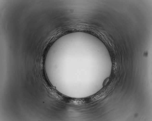 X0000101210466200806270858