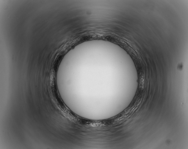 X0000101210468200806270858