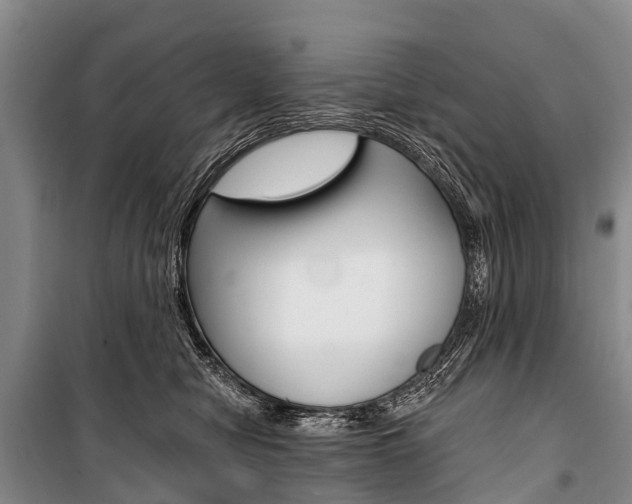 X0000101210470200806270858