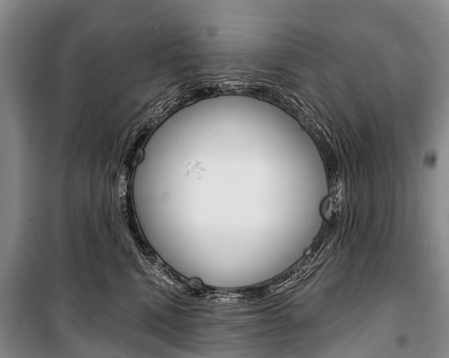 X0000101210472200806270858