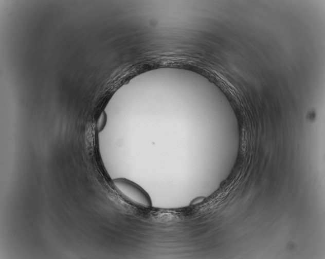 X0000101210475200806270858