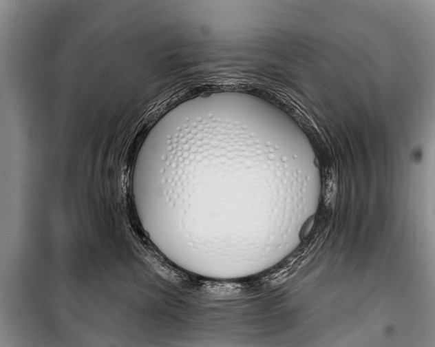 X0000101210476200806270858