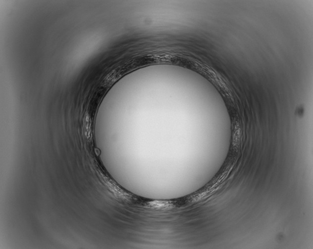 X0000101210477200806270858