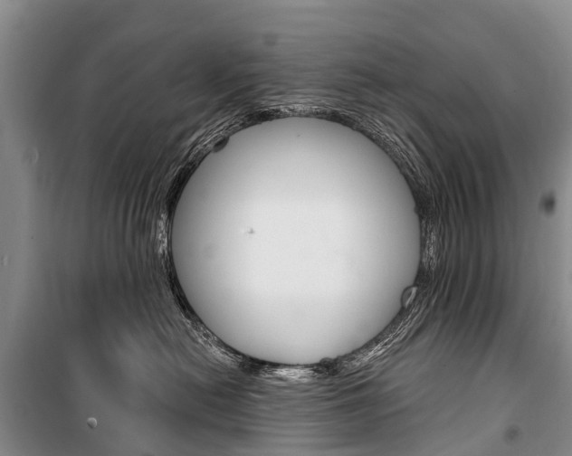 X0000101210478200806270858