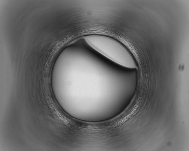 X0000101210481200806270857