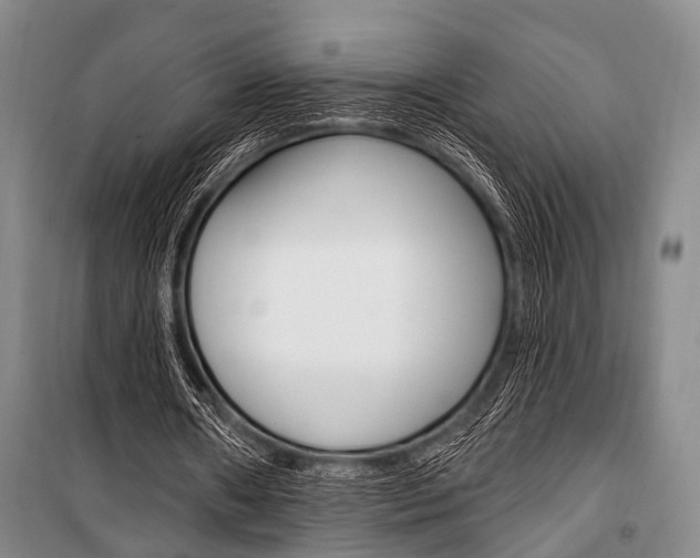 X0000101210482200806270857