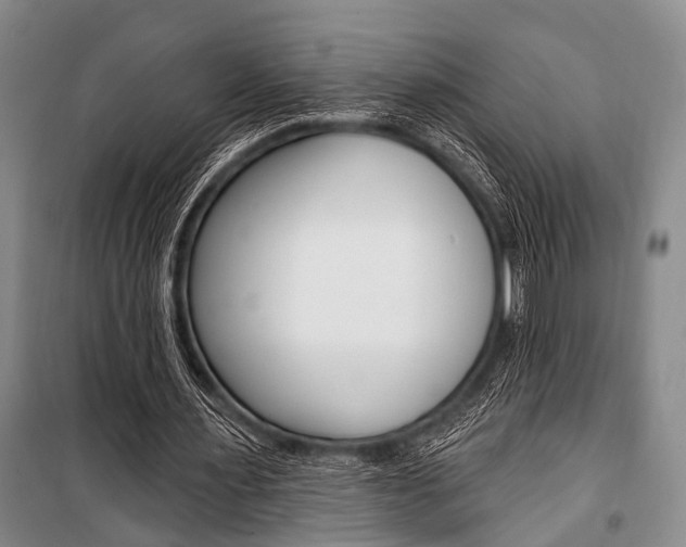 X0000101210483200806270857