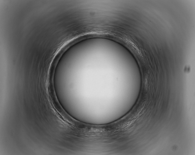X0000101210484200806270857