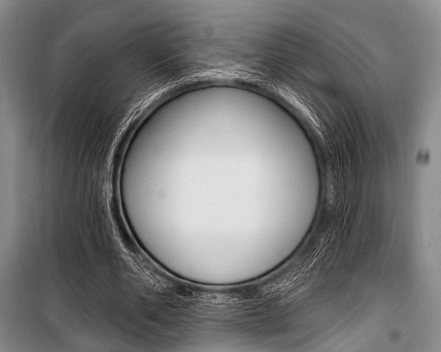X0000101210486200806270857