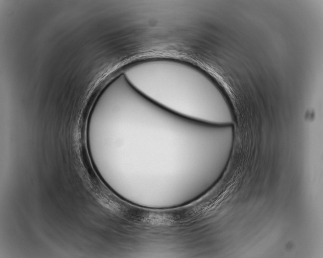 X0000101210487200806270857