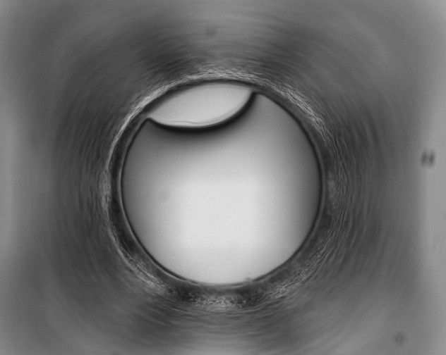 X0000101210488200806270857