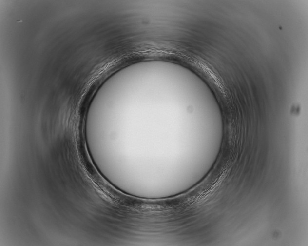 X0000101210490200806270857