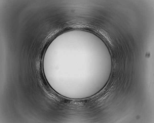 X0000101210491200806270857