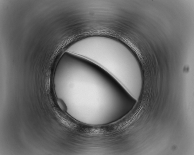 X0000101210493200806270857