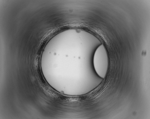 X0000101210495200806270857