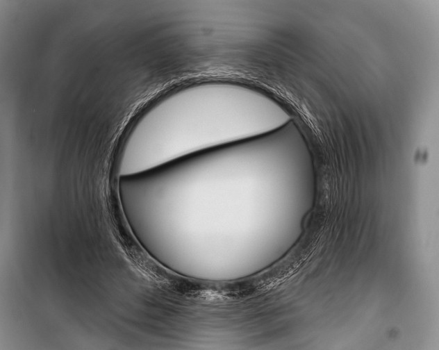 X0000101210496200806270857