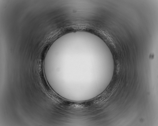 X0000101210498200806270857