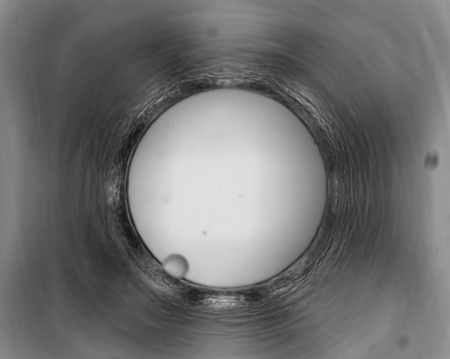 X0000101210499200806270857