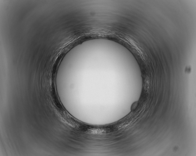 X0000101210500200806270857