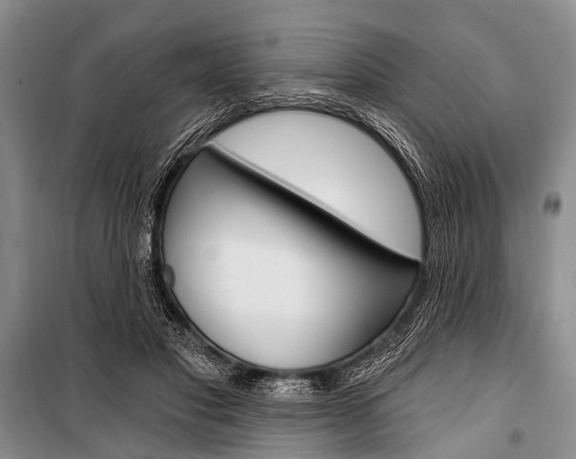 X0000101210501200806270857